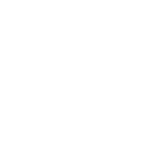 Austral Lock commercial door locks offered by Liberty Doorworks